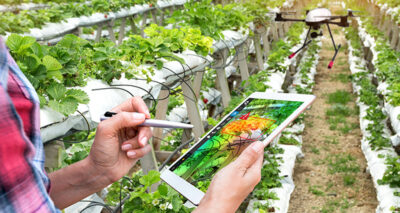 Read more about the article Vertical Farming – Can High-Tech Indoor Farming Solve Food Shortages?